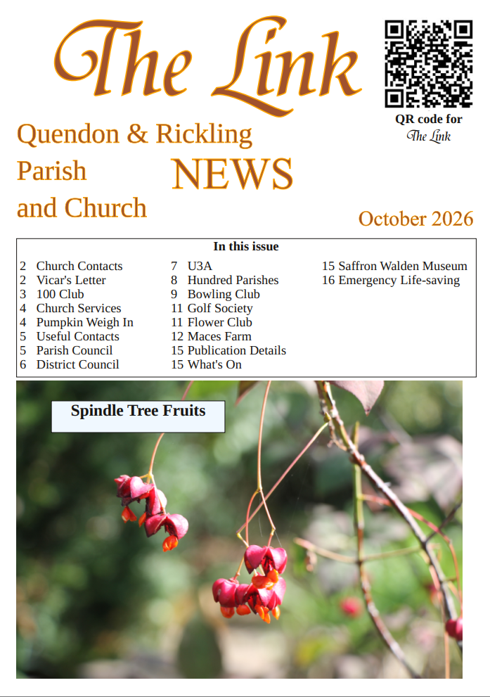 2026 October The Link Thumb